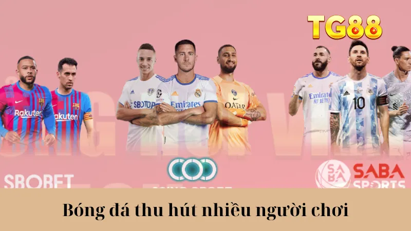 Thể Thao TG88 - Cập Nhật Nhanh Kèo Cược, Lợi Nhuận Khủng - playlivo88.asia