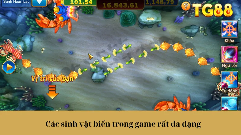 Bắn Cá Jackpot: Chinh Phục Đại Dương, Săn Thưởng Cực Đỉnh - playlivo88.asia