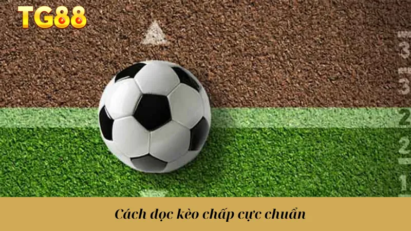 Thể Thao TG88 - Cập Nhật Nhanh Kèo Cược, Lợi Nhuận Khủng - playlivo88.asia
