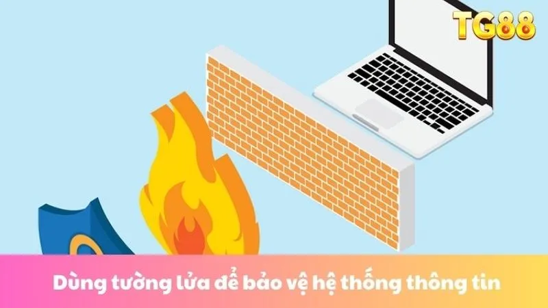Chính Sách Bảo Mật TG88 - Đảm Bảo An Toàn Tuyệt Đối - playlivo88.asia