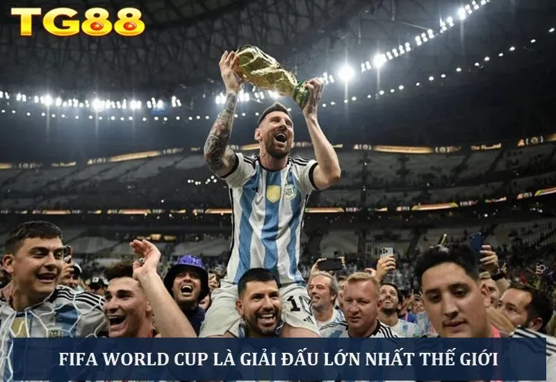 Giải FIFA World Cup: Tất Tần Tật Thông Tin Cần Biết - playlivo88.asia