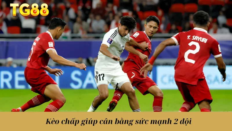 Kèo Chấp Là Gì? Cách Đọc Và Phân Tích Chuẩn Xác Nhất - playlivo88.asia