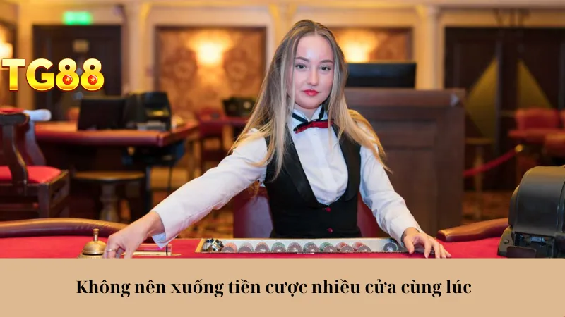 Live Casino TG88 - Sòng Bài Đỉnh Cao, Hốt Bạc Trong Tích Tắc - playlivo88.asia