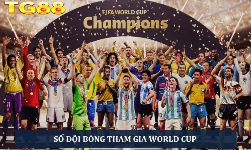 Giải FIFA World Cup: Tất Tần Tật Thông Tin Cần Biết - playlivo88.asia