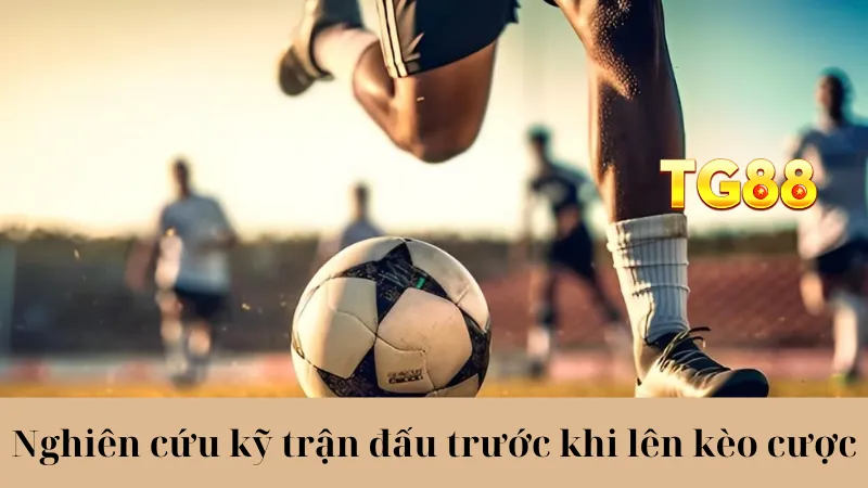 Thể Thao TG88 - Cập Nhật Nhanh Kèo Cược, Lợi Nhuận Khủng - playlivo88.asia