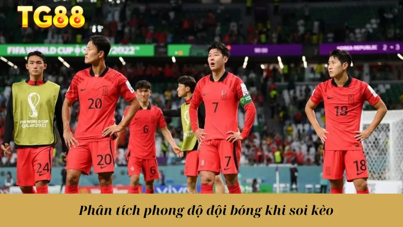 Kèo Chấp Là Gì? Cách Đọc Và Phân Tích Chuẩn Xác Nhất - playlivo88.asia