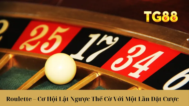 Live Casino TG88 - Sòng Bài Đỉnh Cao, Hốt Bạc Trong Tích Tắc - playlivo88.asia