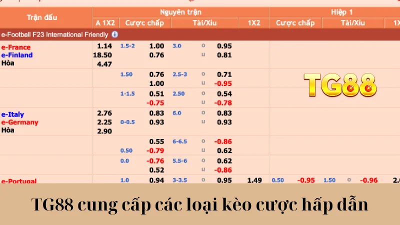 Thể Thao TG88 - Cập Nhật Nhanh Kèo Cược, Lợi Nhuận Khủng - playlivo88.asia