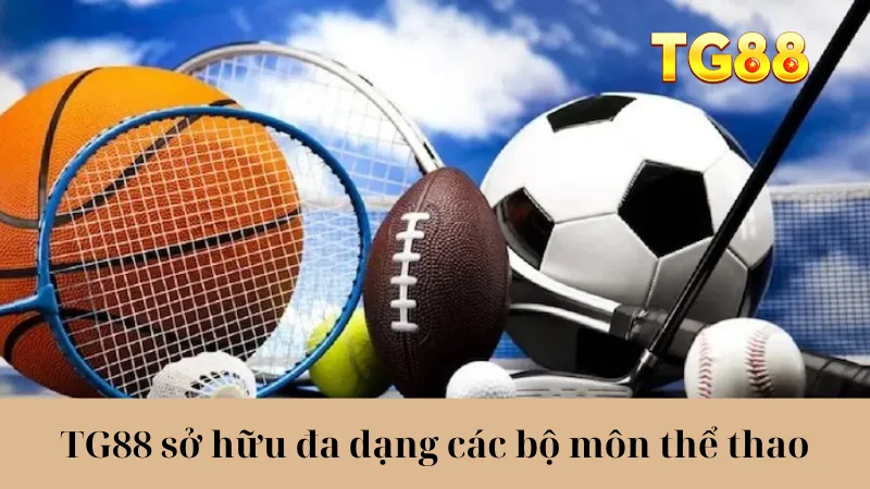 Thể Thao TG88 - Cập Nhật Nhanh Kèo Cược, Lợi Nhuận Khủng - playlivo88.asia