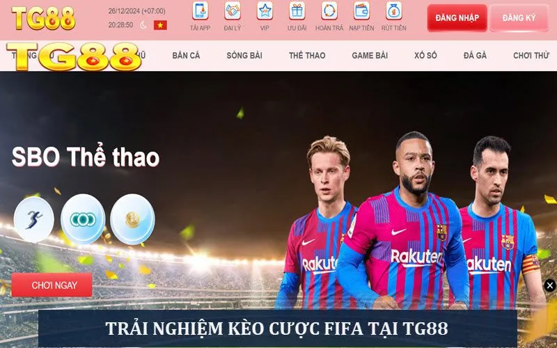 Giải FIFA World Cup: Tất Tần Tật Thông Tin Cần Biết - playlivo88.asia
