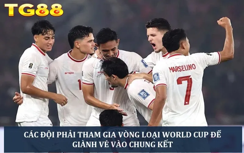 Giải FIFA World Cup: Tất Tần Tật Thông Tin Cần Biết - playlivo88.asia