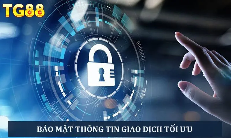 Top 4+ Nhà Cái Nạp Rút Tiền Nhanh, Giao Dịch 5 Phút - playlivo88.asia
