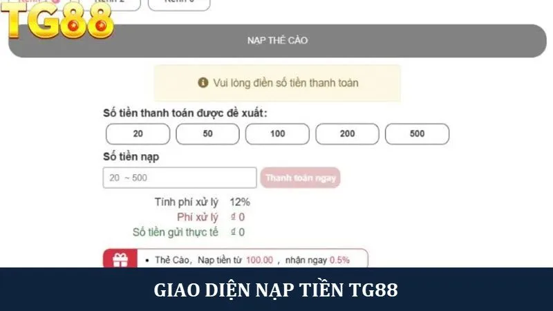 Top 4+ Nhà Cái Nạp Rút Tiền Nhanh, Giao Dịch 5 Phút - playlivo88.asia